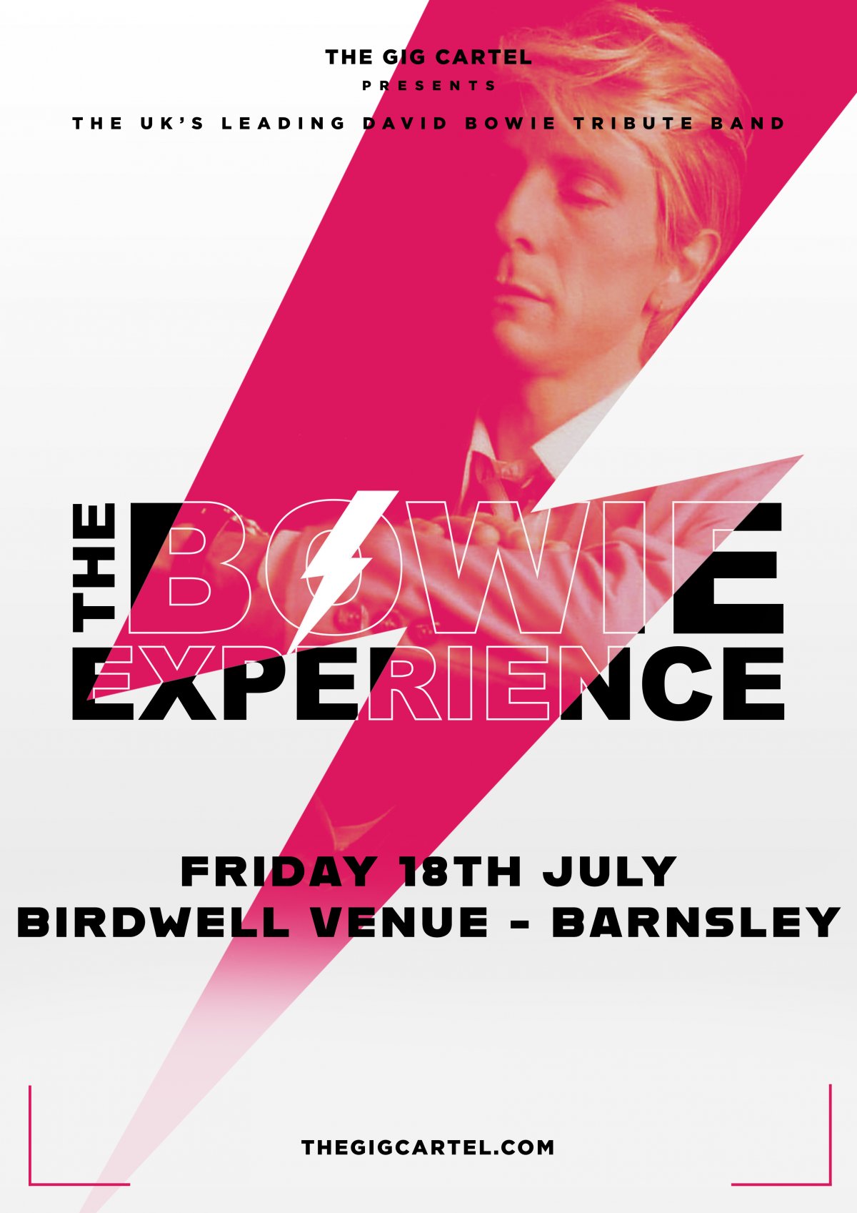 The Bowie Experience
